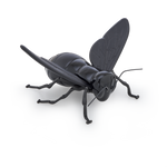 "encontro no ciclo" da Abelha