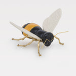 "encontro no ciclo" da Abelha