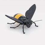 "encontro no ciclo" da Abelha