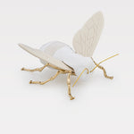 "encontro no ciclo" da Abelha