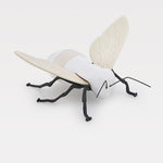 "encontro no ciclo" da Abelha