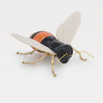 "encontro no ciclo" da Abelha