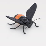 "encontro no ciclo" da Abelha