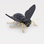 "encontro no ciclo" da Abelha